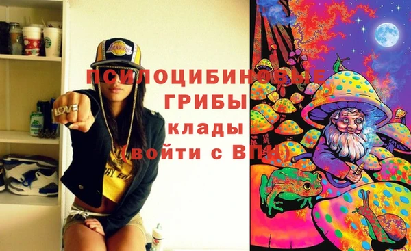 шишки Аркадак