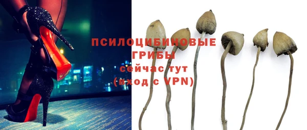 spice Армянск